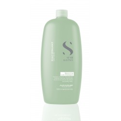 Semi di Lino Scalp  Balancing Low   - Sampon de echilibrare anti-sebum  1000 ml