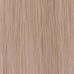 COLOR WEAR NEW vopsea fara amoniac nr .  10.31  Lightest Golden Ash Blonde