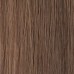 COLOR WEAR NEW vopsea fara amoniac nr .  8.31  Light Golden Ash Blonde