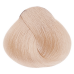 COLOR WEAR NEW vopsea fara amoniac nr .  10 Lightest Beige Glacé Blond